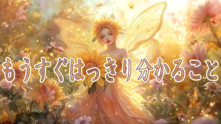 もうすぐ、はっきり分かること🦋