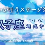 双子座♊️９月前半🪽願いが叶うステージ突入‼️金運の上昇サイン継続中🐉✨【全編字幕付きタロットリーディング】