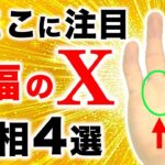 【手相】コレが有ったら幸せ爆増！幸福の交差点手相４選【融合開花太陽線・三位一体太陽線】