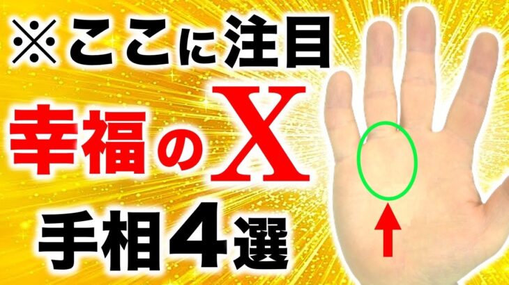 【手相】コレが有ったら幸せ爆増！幸福の交差点手相４選【融合開花太陽線・三位一体太陽線】