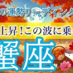 蟹座9月🌕勢いに乗る経済運💰〇〇が成功を引き寄せる秘訣！仕事運・人間関係運・恋愛運・金運・全体運［タロット/オラクル/ルノルマン］