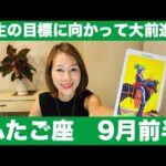 ふたご座♊️9月前半🔮人生の目標に向かって大前進！継続の力で幸せを引き寄せる時！