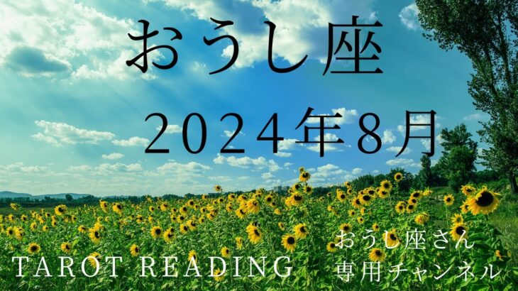 おうし座🐮2024年8月の運勢