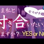 【YES or NO】今私と付き合いたい人いますか？特徴、あなたに惹かれる理由、二人の未来🔮タロット、タロット占い、恋愛