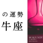 【牡牛座🌿9月の運勢】こんなリーディング今までなかった😳圧巻のストーリー展開！！2024年タロット占い