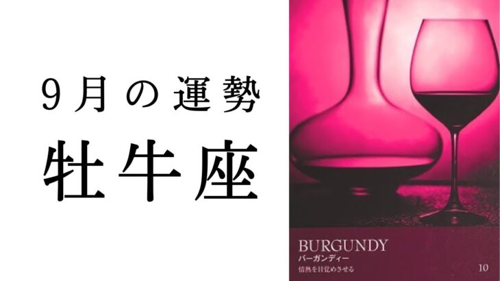 【牡牛座🌿9月の運勢】こんなリーディング今までなかった😳圧巻のストーリー展開！！2024年タロット占い