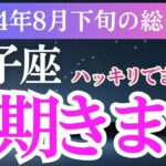 【双子座】2024年8月下旬ふたご座の未来を切り開く！双子座の運勢大解剖