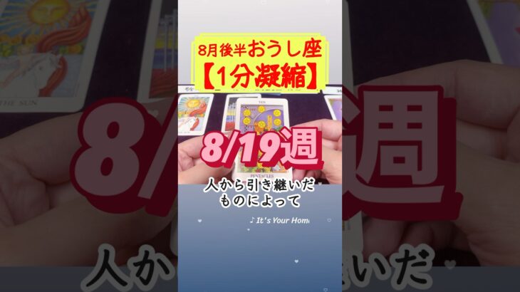 牡牛座♉️ 8月後半【1分凝縮版】→全編動画へはこの上、▶︎のリンクから🧚 #タロット占い #運勢 #星座 #恋愛運 #仕事運 #8月 #tarot #おうし座