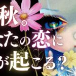 ➳❤︎恋愛タロット[4択] 2024年初秋・あなたに何が起こる！？8月/9月/10月の恋模様をガッツリ追う🙀💕 季節先取り🍂✨ #立秋 スペシャル (2024/8/7)