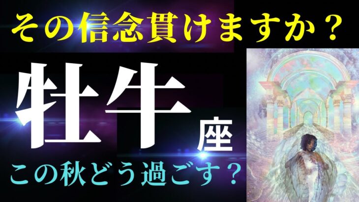 【牡牛座】8月の見た時から2ヶ月間の運勢＆より良い人生にするためのアドバイス✨（タロット&オラクルカードリーディング）