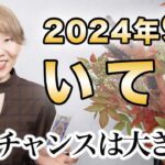 いて座 9月の運勢♐️ / このチャンスは大きい！！大飛躍・大活躍のビッグウェーブ🌈人生のステージアップ✨本当はやりたくないことは手放していい【トートタロット & 西洋占星術】