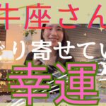 【牡牛座】たぐり寄せている幸運／自由に！解放宣言⚠️鳥のような視点で財産を築いていく🕊️