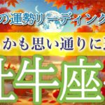 牡牛座9月🌕大アルカナ祭り🎆リーダーシップ発揮でお仕事絶好調❗️仕事運・人間関係運・恋愛運・金運・全体運［タロット/オラクル/ルノルマン］