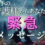 【神回】お相手の守護様からあなたへ緊急メッセージ👼💗恋愛タロット