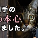 あの人の気持ち👀出会いから今まで私はどんな印象？ガチで聞いてみた。二人の関係の未来【男心タロット、細密リーディング、個人鑑定級に当たる占い】