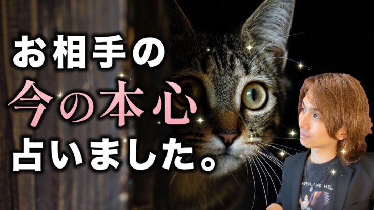 あの人の気持ち👀出会いから今まで私はどんな印象？ガチで聞いてみた。二人の関係の未来【男心タロット、細密リーディング、個人鑑定級に当たる占い】