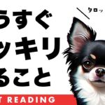 とある選択肢が神回中の神回。【タロット占い】あなたにとってもうすぐハッキリすることを全力リーディング🦸‍♀️✨【３択占い】