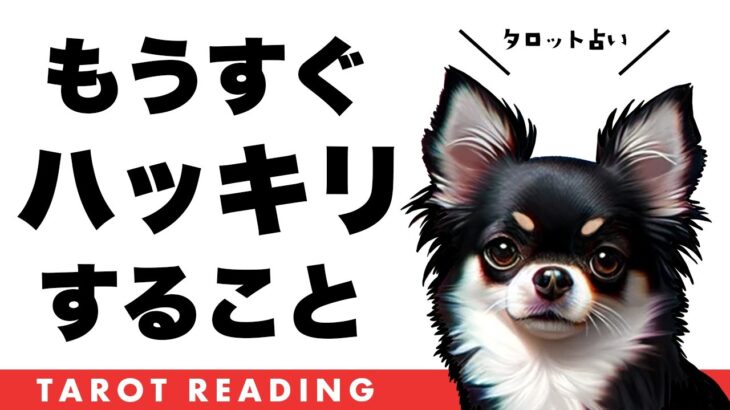 とある選択肢が神回中の神回。【タロット占い】あなたにとってもうすぐハッキリすることを全力リーディング🦸‍♀️✨【３択占い】