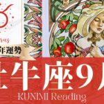 牡牛座♉9月運勢✨熱意で人を動かす✨ひとまず結果が出る✨今後のためにしっかり向き合う🌺現状🌺仕事運🌺恋愛・結婚運🌺ラッキーカラー🌺開運アドバイス🌝月星座おうし座さんも🌟タロットルノルマンオラクルカード