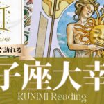 双子座♊これまでの苦労が報われ名誉と成功をつかむ大幸運🌞もうすぐ訪れる大幸運🌞どんな大幸運が🌞いつ頃訪れる？🌝月星座ふたご座さんも🌟タロットルノルマンオラクルカード