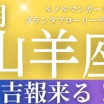 2024年8月【山羊座】起こること～吉報来る！～【恐ろしいほど当たるルノルマンカードリーディング＆アストロダイス】