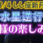 【8/4 獅子座新月】水星逆行を楽しむ方法／月末に備えて繊細レーダーを備えよ