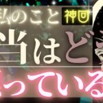 【緊急🚨】忖度一切なしで占った結果、驚きの結果が出ました【お相手様の本当の気持ち】辛口あり♦︎有料鑑定級♦︎