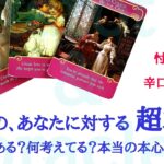 🌹恋愛タロット・オラクル占い🌹【忖度なし辛口あります】あの人の、あなたに対する超本音 お相手様の状況 あなたへの気持ち 本音本心etc..