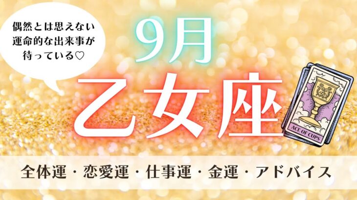 【運勢】偶然とは思えない運命的な出来事が待っている♡9月乙女座♍️仕事、お金、恋愛、全体の流れ✨ルノルマン、タロット、オラクルカードリーディング