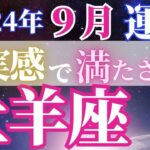 仕事もプライベートも超充実【9月牡羊座の運勢】きっちりやり遂げる1カ月に