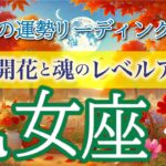 乙女座９月🌕勝利の兆し❗️あなたの才能が認められる時👏仕事運・人間関係運・恋愛運・金運・全体運［タロット/オラクル/ルノルマン］