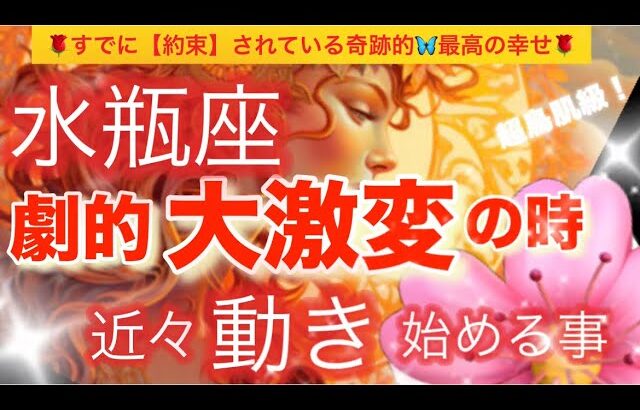 水瓶座🪐【超鳥肌級🦋今迄の努力がついに報われる😭】今がどんな状況でも一変する可能性あり❣️奇跡的幸福を引き寄せる⚡️運気上昇🌈深掘りリーディング#潜在意識#魂の声#ハイヤーセルフ