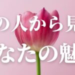 【魅力開花✨】あの人から見たあなたの魅力🌷🩷【タロット・オラクル・ルノルマン】