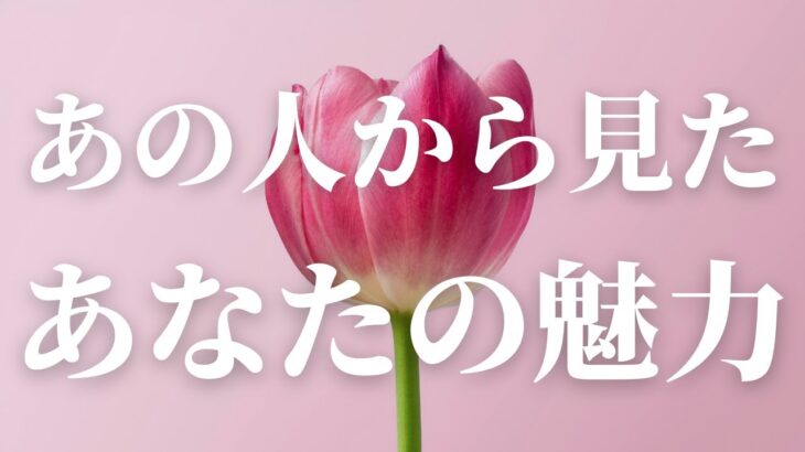 【魅力開花✨】あの人から見たあなたの魅力🌷🩷【タロット・オラクル・ルノルマン】