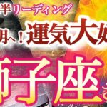 獅子座 8月後半【分岐点！自信を取り戻して思いっきり好きに生きる】解放される本当の魅力　　   獅子座　2024年８月の運勢　タロットリーディング