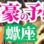 【蠍座】2024年9月の運勢～富豪の予感～