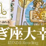 山羊座♑ビジネスの成功や莫大な富を手にする大幸運🌞もうすぐ訪れる大幸運🌞どんな大幸運が🌞いつ頃訪れる？🌝月星座やぎ座さんも🌟タロットルノルマンオラクルカード