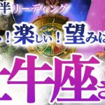 牡牛座  ８月前半〜中旬【運気が貴方にエコ贔屓！願いがどんどん叶い出す】ご褒美満載の時期！ちゃんと受け取って　　おうし座　2024年８月　タロットリーディング