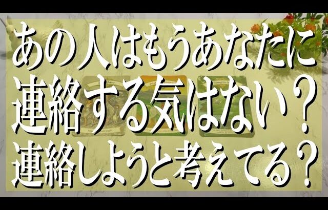 良いも悪いも全部言う辛口鑑定！あの人はもうあなたに連絡する気はない？連絡しようと考えてる？