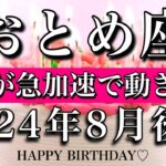 おとめ座♍︎2024年8月後半 お誕生日おめでとうございます㊗️🎂！人生が急加速で動き出す！Virgo tarot reading