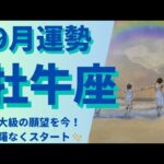 【牡牛座】♉ 9月の運勢✨9月が最適なタイミング！一番 欲するものを掴む✨仕事運&金運&対人運⭐月星座別メッセージ有⭐#牡牛座 #9月の運勢 #タロット