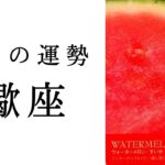 【蠍座🌿9月の運勢】とんでもないことが起こっています😳さそり座が輝く時代到来！2024年タロット占い