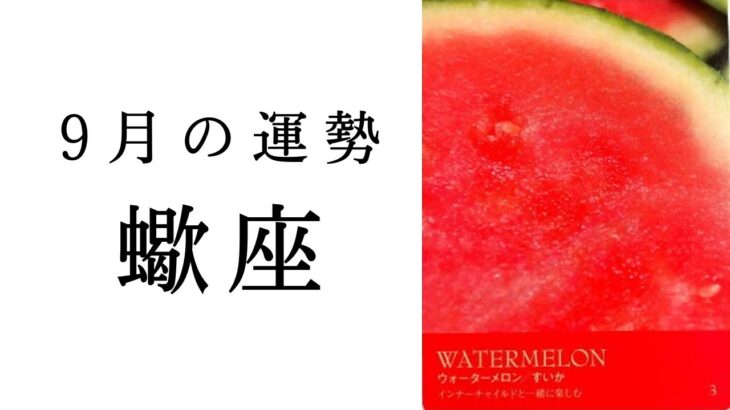 【蠍座🌿9月の運勢】とんでもないことが起こっています😳さそり座が輝く時代到来！2024年タロット占い