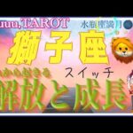 純粋な心で過ごしてもいい場所🍭獅子座♌️さん【水瓶座満月🌕〜あなたに起きる解放と成長】#2024 #星座別 #タロット占い