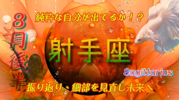 【8月後半✴︎射手座】心が一皮むける時🤍✴︎脱ぎ捨て流ことで受け取れる豊かさ💓貴方のユーモラスを大切に！【2024】