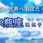 水瓶座♒️９月前半🪽才能を思う存分発揮して🍀個性や感性の爆発が起こりそう✨大切なものが入れ替わる人も…⁉️【全編字幕付きタロットリーディング】