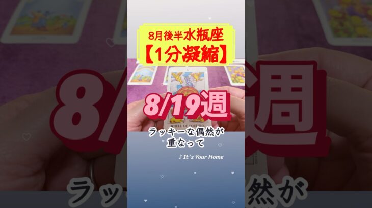 水瓶座♒️ 8月後半【1分凝縮版】→全編動画へはこの上、▶︎のリンクから🧚 #タロット占い #運勢 #星座 #恋愛運 #仕事運 #8月 #tarot #みずがめ座