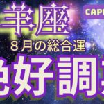 【山羊座】2024年6月の恋愛運、金運、健康運をタロットと占星術で鑑定