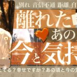 【音信不通・復縁・会えない】距離ができたお相手✨どうしてる？私のこと思い出す？幸せ？✨あなたに伝えたいこと✨本当の思い✨あの時のことこれから✨音信不通 復縁【タロット占い 恋愛】No.498