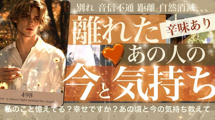 【音信不通・復縁・会えない】距離ができたお相手✨どうしてる？私のこと思い出す？幸せ？✨あなたに伝えたいこと✨本当の思い✨あの時のことこれから✨音信不通 復縁【タロット占い 恋愛】No.498